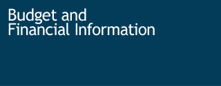 Budget and Financial Information