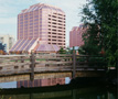 Kariya Park and Sussex Centre