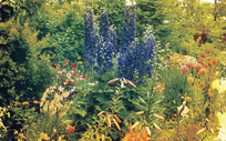 Mississauga Garden Park Photo