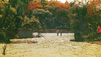 Mississauga Garden Park Photo