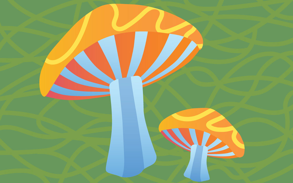 An illustration of mushrooms