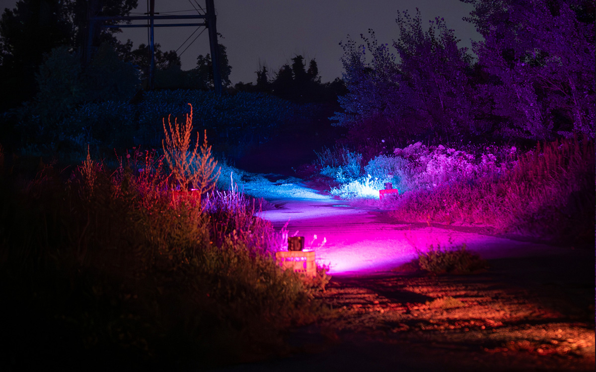 A night photo of a rolling landscape with purple lighting