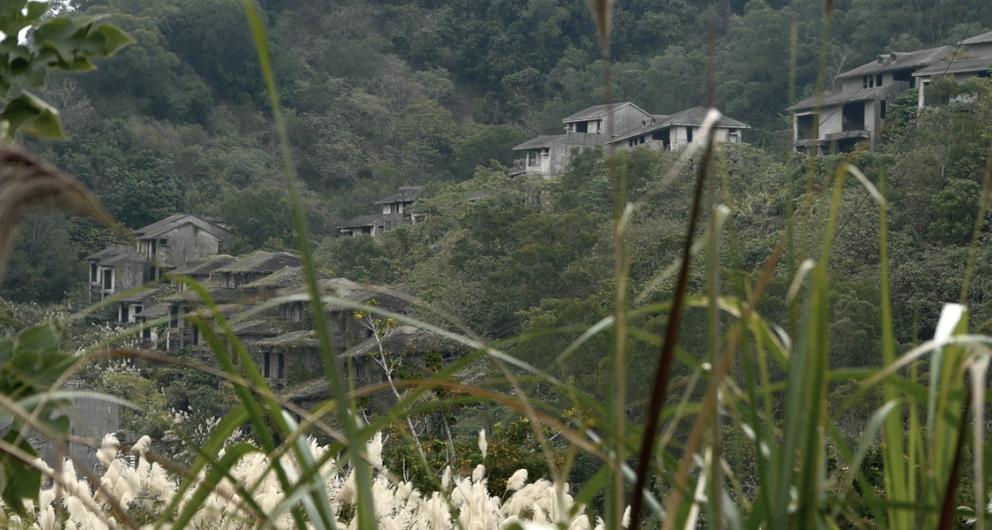 long grass with houses in the background