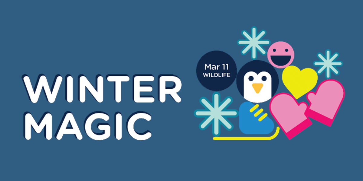 Event graphic for Winter Magic presents: Wildlife.