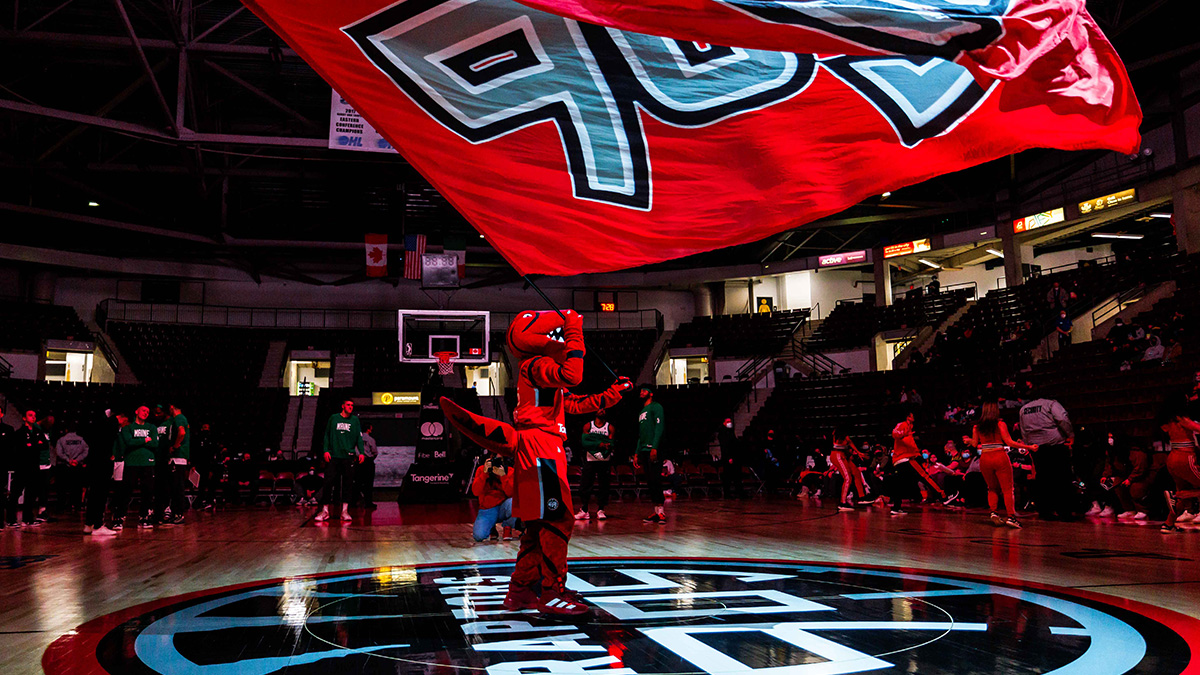 The Raptors mascot waving a large flag.