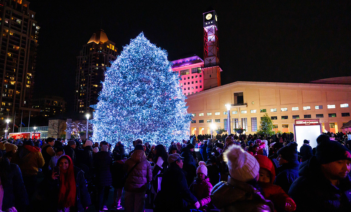 A Christmas tree with lights on Celebration Square