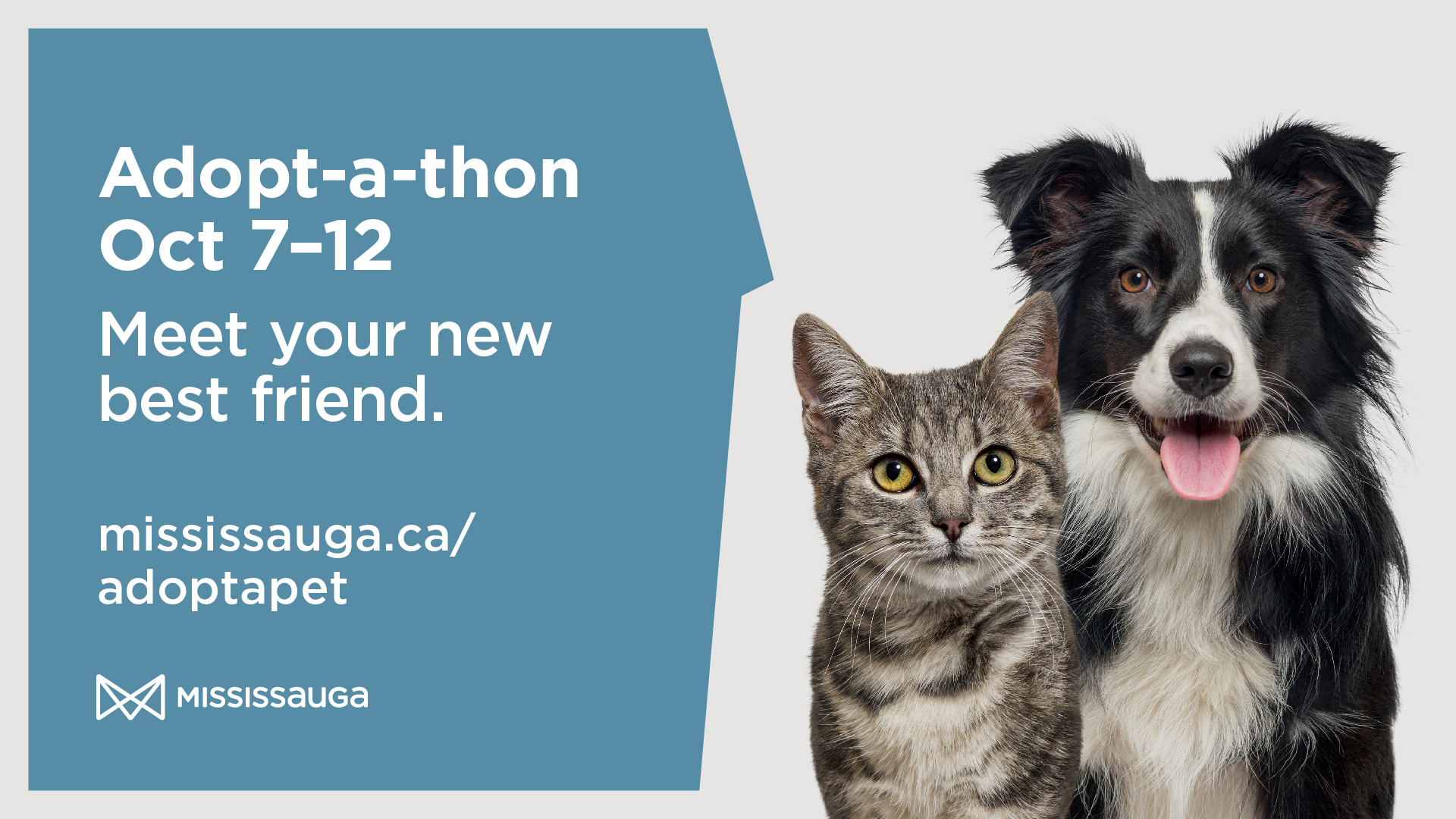 Cat and dog. Meet your new best friend at the City of Mississauga adoptathon October 7 to 12. Visit Mississauga dot C A slash adopt a pet to learn more.