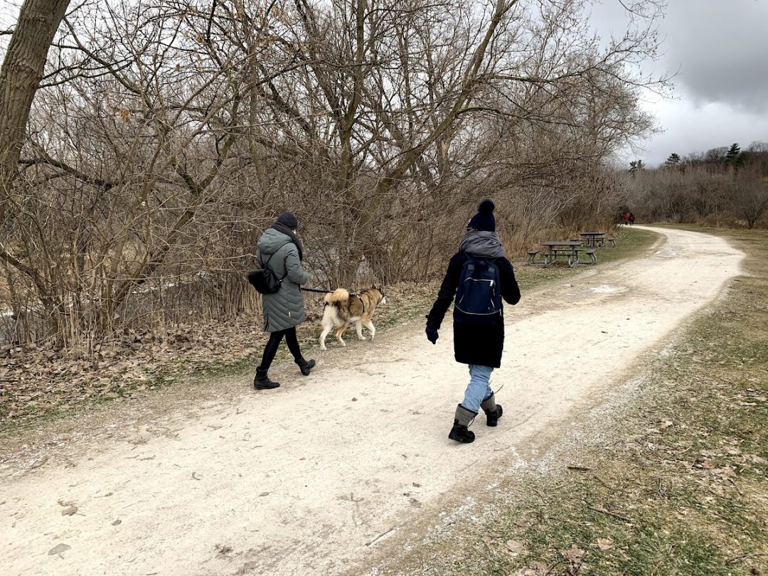 gather-your-family-together-for-some-family-day-fun-in-mississauga