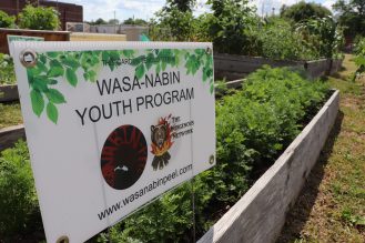 Close up of sign place at a community garden that reads "This garden tended to by Wasa-Nabin Youth Program"