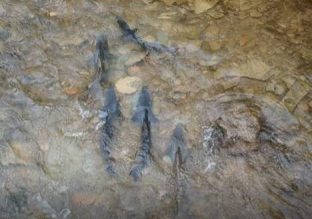 A group of Salmon fish are in a group - waiting for the perfect water levels and temperature to swim up stream and lay their eggs up the Credit River.