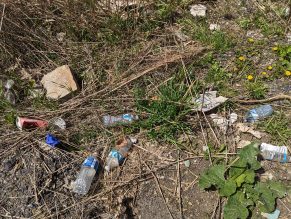 Plastic bottles, containers and cans littered on ground at a park.