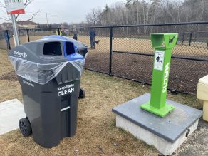 City's waste and recycling bin and green designated dog waste collection station.