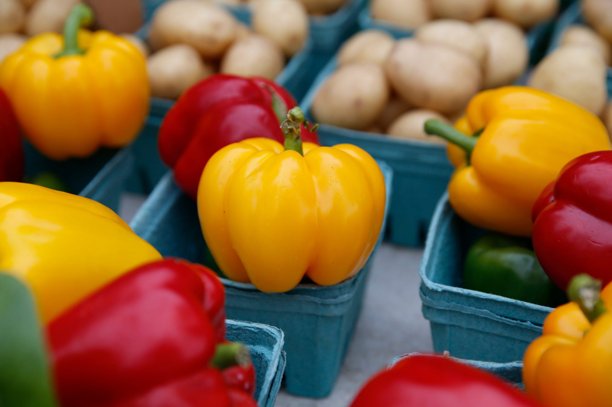 Are you looking for fresh produce? Visit a farmers market in Mississauga City of Mississauga