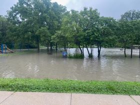 Mississauga flooding on July 16, 2024 located in Cooksville Park showing the water covering grass under trees extending to the sidewalk.