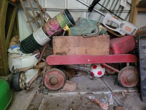 A sick and tired fox sleeps in someones shed among garden materials, sports equipment and an old red wagon