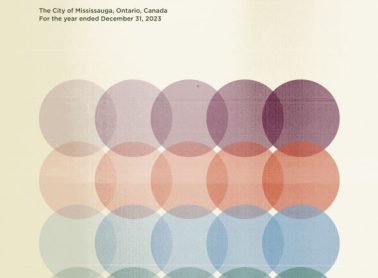 A muted report cover with colours circle graphics