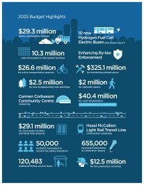 Budget Book Infographic