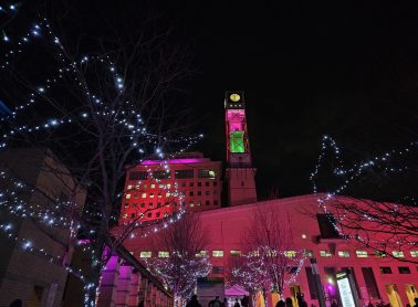 Mississauga City Hall at night with lights on trees.