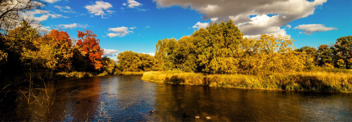 A riverscape with trees and blue sky.