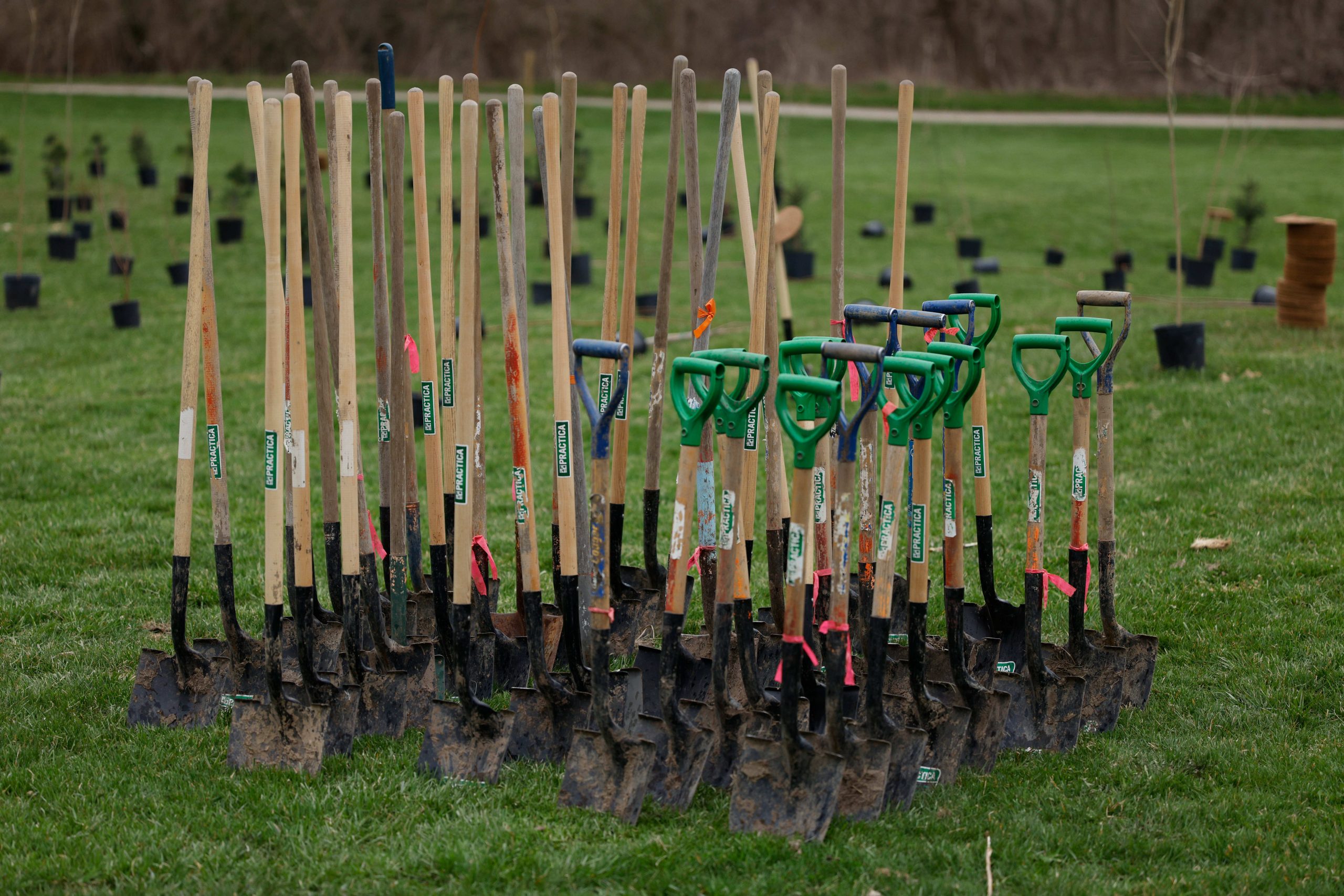 shovels in the ground