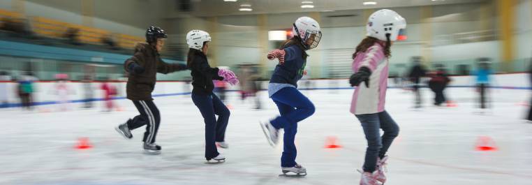 Skating and hockey – Recreation and sports